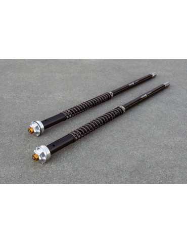 Kit cartouche Andreani