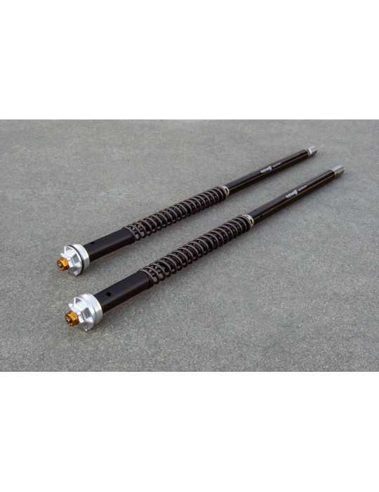 Kit cartouche Andreani