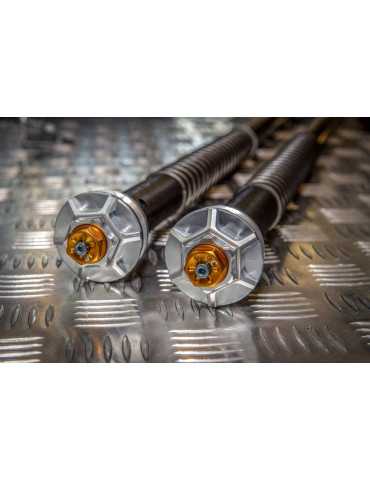 Kit cartouche Andreani 2