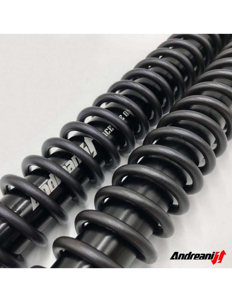 Kit cartouche Andreani