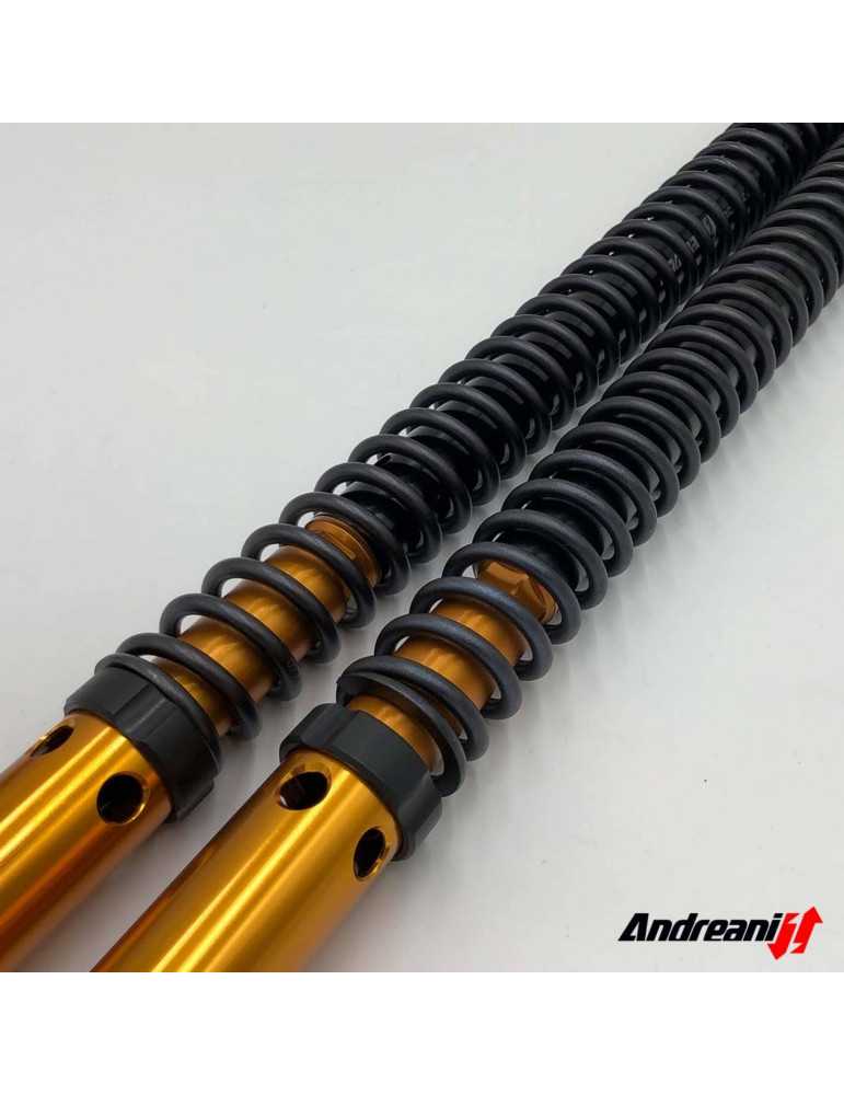 Kit cartouche Andreani