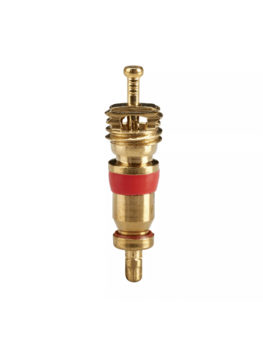 Obus de valve Schrader