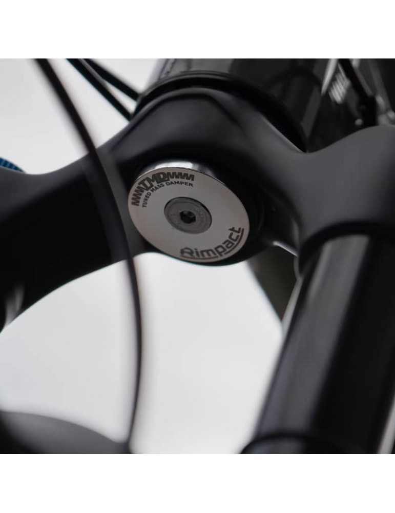 Mass damper RIMPACT TMD