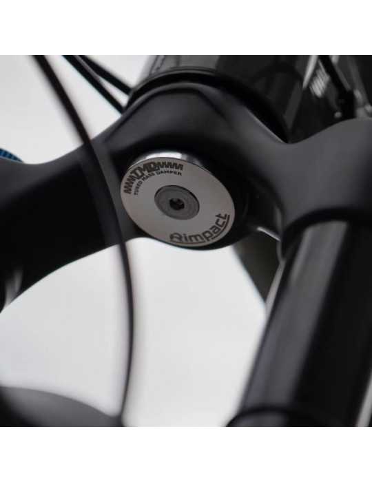 Mass damper RIMPACT TMD