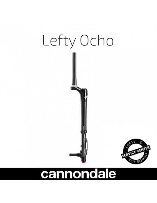 Entretien Lefty Ocho Cannondale