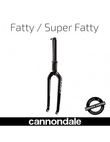 Entretien Lefty Fatty Cannondale