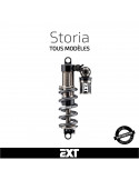 Entretien amortisseur EXT Storia