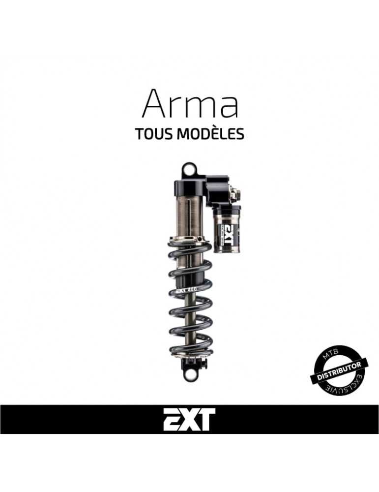 Entretien amortisseur EXT Arma